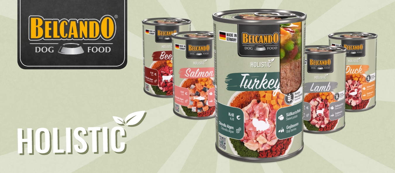 Описание изображения